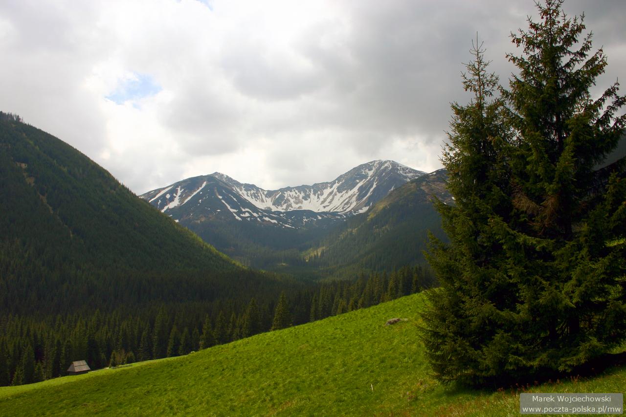 Tatry - Dolina Chocholowska